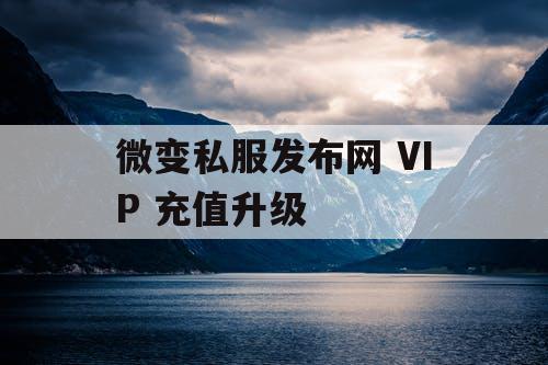 微变私服发布网 VIP 充值升级