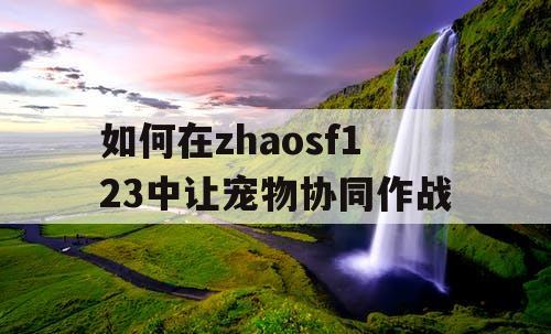 如何在zhaosf123中让宠物协同作战