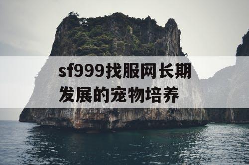 sf999找服网长期发展的宠物培养