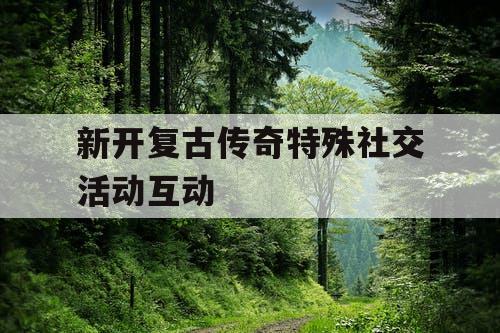 新开复古传奇特殊社交活动互动