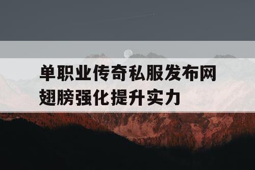单职业传奇私服发布网翅膀强化提升实力