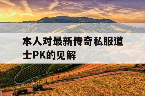 本人对最新传奇私服道士PK的见解