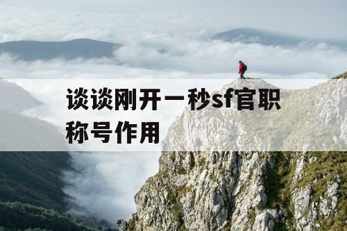 谈谈刚开一秒sf官职称号作用