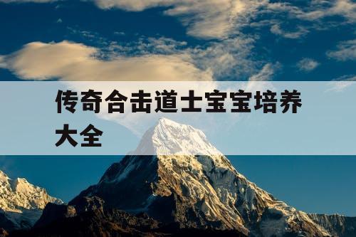 传奇合击道士宝宝培养大全