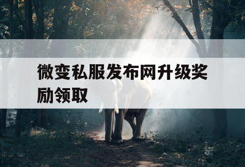 微变私服发布网升级奖励领取