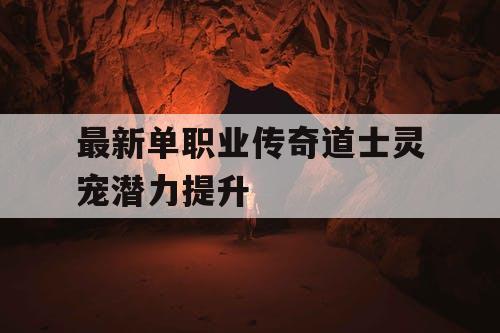 最新单职业传奇道士灵宠潜力提升